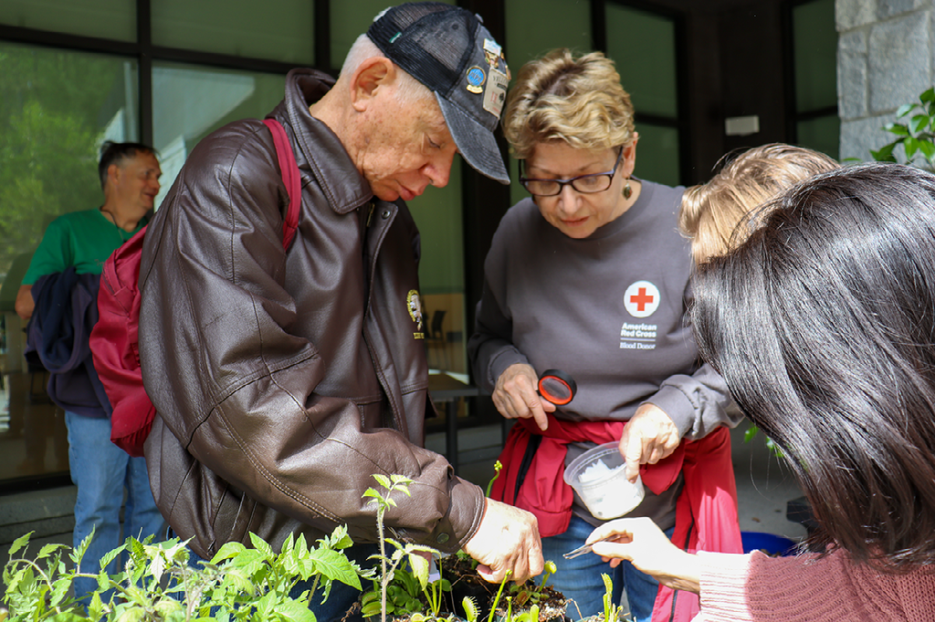 Older couple learning about gardening